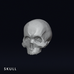 Skull.png STL-Datei Schädel kostenlos・3D-druckbares Modell zum herunterladen