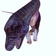 K.jpg DOWNLOAD Brachiosaurus 3D MODEL ANIMATED - BLENDER - 3DS MAX - CINEMA 4D - FBX - MAYA - UNITY - UNREAL - OBJ -  Animals & creatures Fan Art DINOSAUR PREHISTORIC Saurisquios Camarasaurio Nigersaurus Titanosaurus Antarctosaurus Antarctosaurus  Shunosaurus