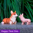 IMG_3060.jpg Jouet flexi articulé Corgi dog print in place (#16)