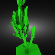 Без-названия-render.png wild west cactus