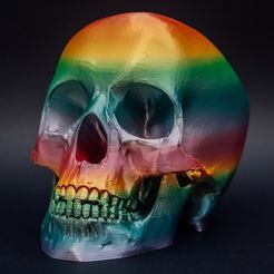 skull-1.jpg Download STL file Human Skull • 3D print model, balasizsolti