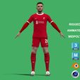 Robertson_1.jpg 3D Rigged Andrew Robertson Liverpool 2024