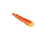 2.jpg Carrot VEGETABLE FRUIT TREE FOREST Carrot FLOWER PLANT FOOD DRINK JUICE NATURE VEGETABLE