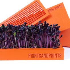 IMG_20210123_115156.jpg STL file Microgreens kit to grow superfood at home・3D printable model to download