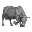 3D-Print-Ready-Cow-Eating-Pose-01.jpg Food Eating Cow 3D Print Model