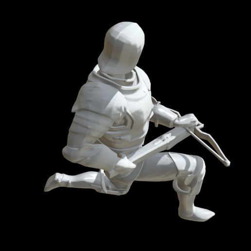 16 (7).jpg Crossbowman