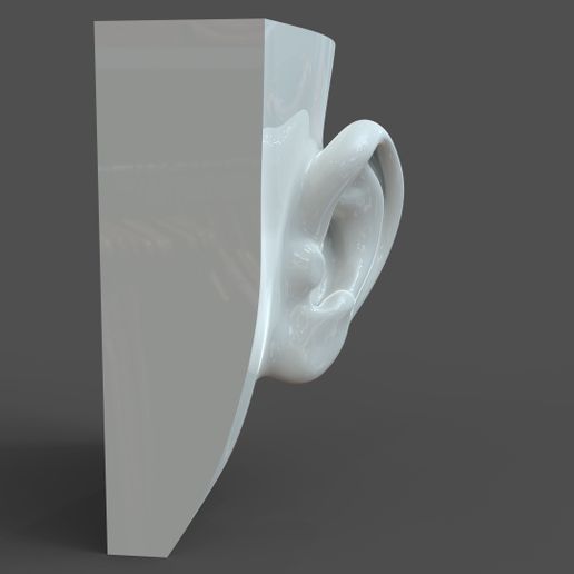 SH_model1_detail0c.209.jpg Realistic lifesize female ear