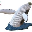 Humpback-Whale-Head-off-the-Water-color-3.jpg Humpback Whale Head off the Water 3D printable model