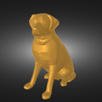 Без-названия-render.png DOG