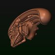 31.jpg Xenomorph Alien biomechanical head