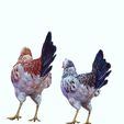 yg.jpg CHICKEN CHICKEN - DOWNLOAD CHICKEN 3d Model - animated for Blender-Fbx-Unity-Maya-Unreal-C4d-3ds Max - 3D Printing HEN hen, chicken, fowl, coward, sissy, funk- BIRD - POKÉMON - GARDEN
