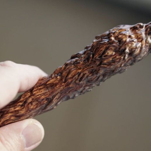Gryffindor Mascot Wand