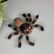 IMG_3779.jpg Flexi Spider (Articulated)