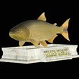 Golden-dorado-statue-4.png fish golden dorado / Salminus brasiliensis statue detailed texture for 3d printing