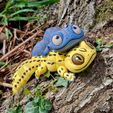 20230412_152850.jpg CUTE FLEXI PRINT-IN-PLACE GECKO, ARTICULATED TOY