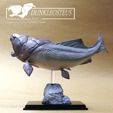 Dunkleosteus2020-1.jpg Dunkleosteus