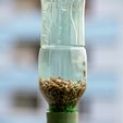 J_210801_195950_Nik_DxO.jpg Bird feeder on pet bottle (38mm thread)