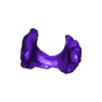 STL_Thyroid_gland.stl 3D Model of Heart in Thorax