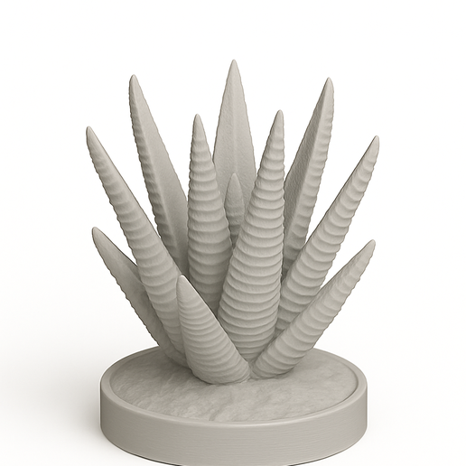 Haworthia fasciata 3D model