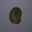 Screenshot-2024-09-10-102743.png Fossile d'ammonite