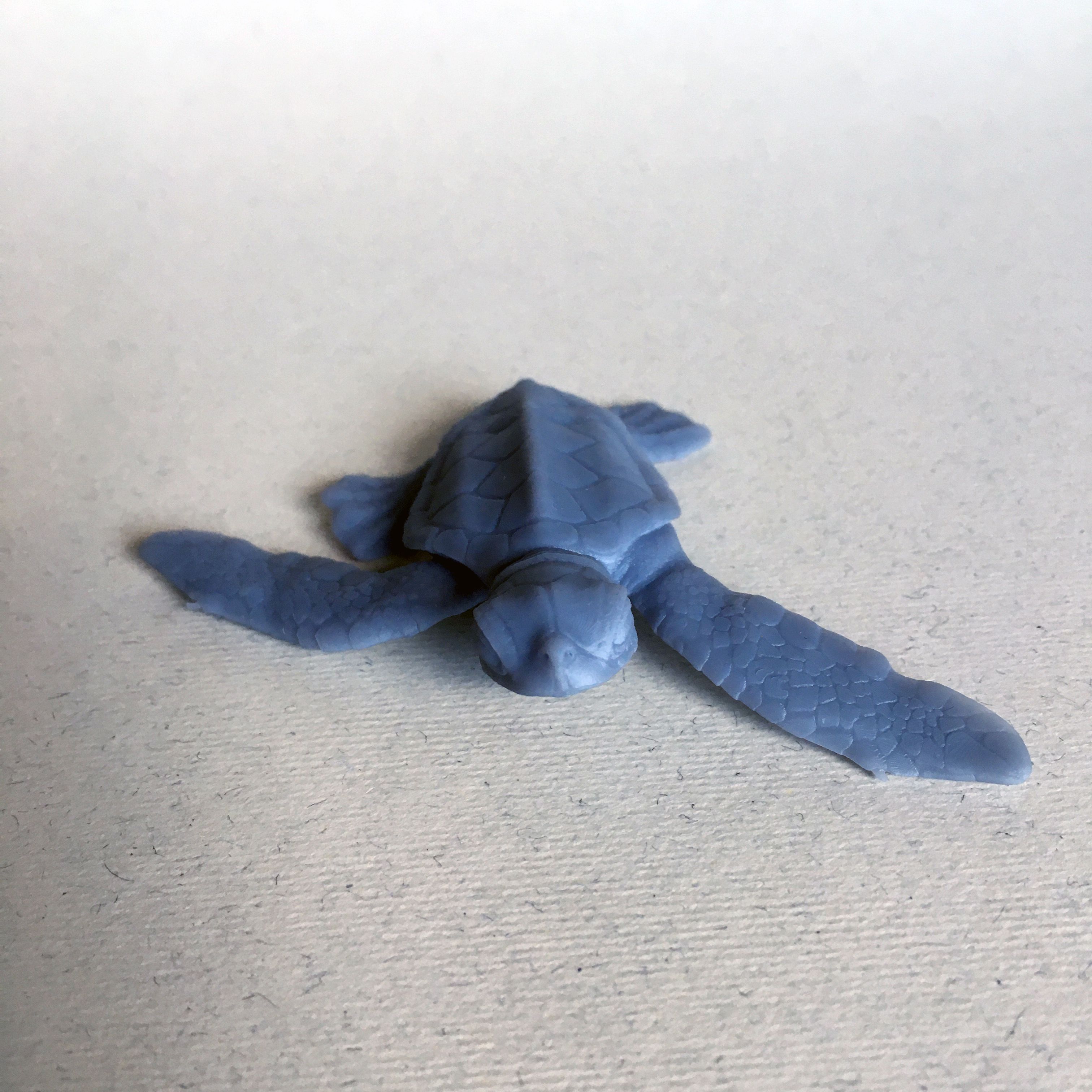 turtle_print_2.jpg 3D-Datei Meeresschildkröten-Schlüpfling・3D-Druckvorlage zum Herunterladen, AnimalDenMiniatures