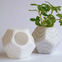 Xlayers.jpg Free STL file Plantekka Dodecahedron Planter・3D printing idea to download