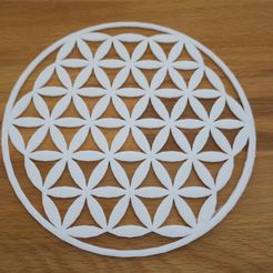 IMG_2480.JPG Free STL file Flower of life symbol・3D printable object to download