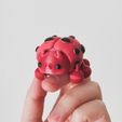 20230223_184945062_iOS.jpg Ladybug Flexi
