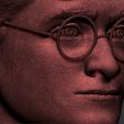 28.jpg Harry Potter bust ready for full color 3D printing