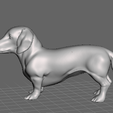 Dachshund-02.png raça de cão dachhund