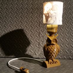 20181209_163532.jpg Owl Lamp Litophane E27 bulb