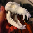 Capture_d__cran_2015-01-23___11.52.22.png Archivo STL gratis BONEHEADS: Wolf Skull & Jaw Bone - PROMO - 3DKITBASH.COM・Diseño por impresión en 3D para descargar
