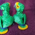 IMG_20240602_163039853.jpg Amazon Parrot Articulated Figure