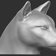 11.jpg Cougar / Mountain Lion head for 3D printing