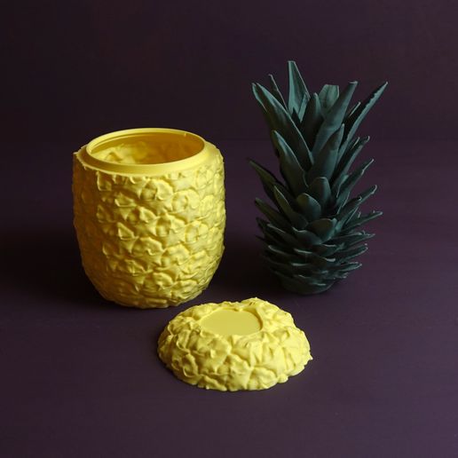 17.jpg Ananas en tranches