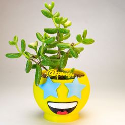 13.jpg STL file EMOJI star star vase・3D printer model to download