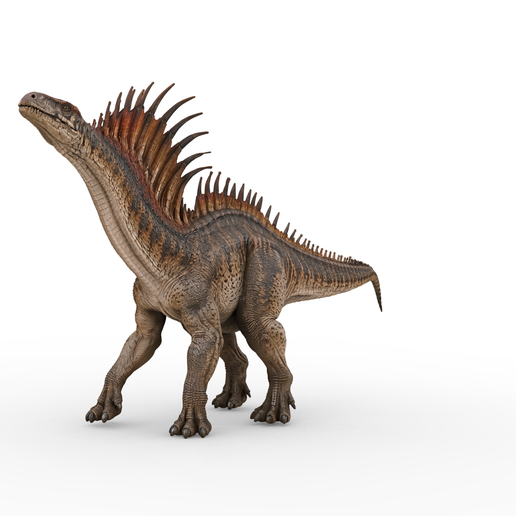 Amargasaurus cazaui Looking Up – Realistic Spined Sauropod Dinosaur 3D Model