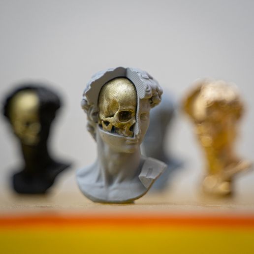 DSC04209.jpg Télécharger fichier STL gratuit Le crâne de David • Plan à imprimer en 3D, stonestef