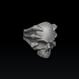 fds2sd1f2s21re0fre12fs2f21s.jpg Кольцо для сцепления черепов 3D печать модели