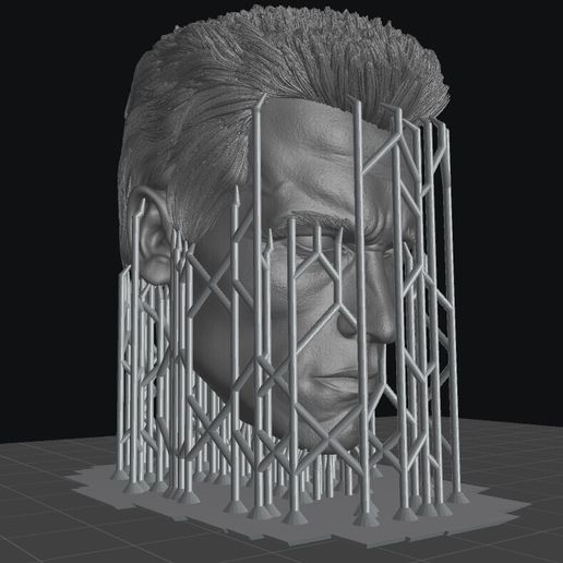 14.jpg Kopf Arnold schwarzenegger T800 3d Druck Modell