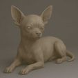 185.jpeg Chihuahua Dog – Realistic Digital Sculpture STL for 3D Printing