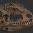 ZBrush-Document4.jpg Dilophosaurus Skull