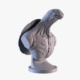 T02.png Tartaruga