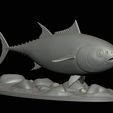 Bluefin-tuna-21.png Atlantic bluefin tuna / Thunnus thynnus / Tuňák obecný  fish underwater statue detailed texture for 3d printing