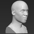 10.jpg Reggie Miller bust 3D printing ready stl obj formats
