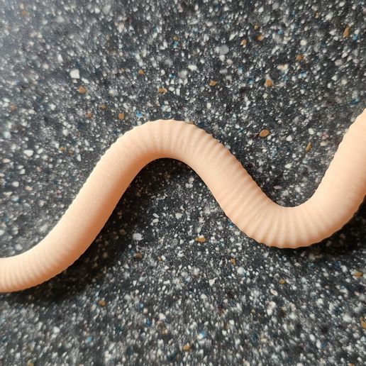 🌍 A realistic Earth Worm・Free STL File for 3D printing・Cults