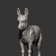 Donkey-baby6.jpg Modelo de impresión 3D de bebé burro