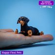 Flexi_Dachshund_2025_pic3.jpg Weenie le jouet articulé en forme de teckel à saucisse (#27)
