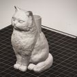 1769344052567.jpg Cat whiskers (Pet Hair) holder - Cat sculpture