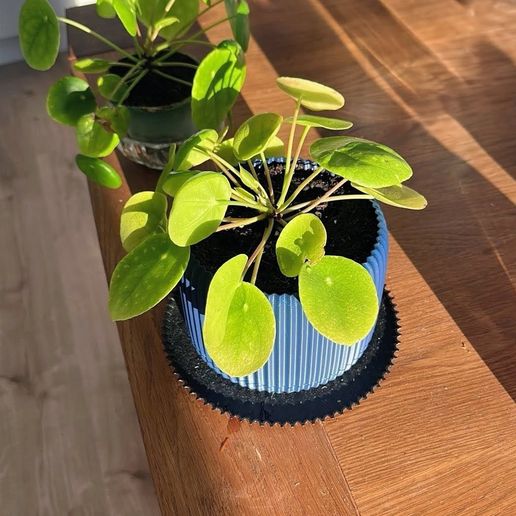🪴 Plant Pot with Drainage and Hidden Drain Tray